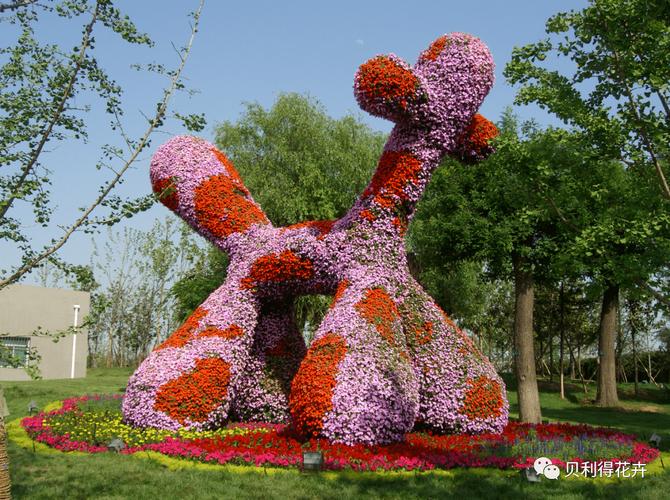 aa花卉苗木——郑州市惠济区双桥花卉市场苗木区65号